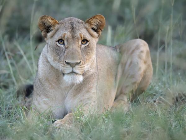 Photography safari in South Africa