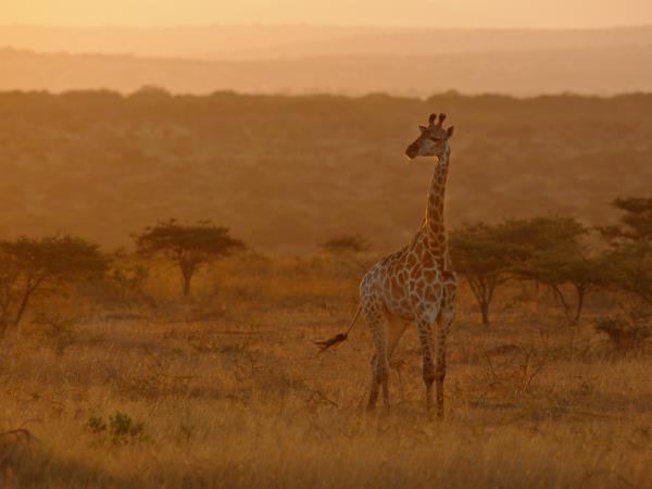 Photography safari in South Africa