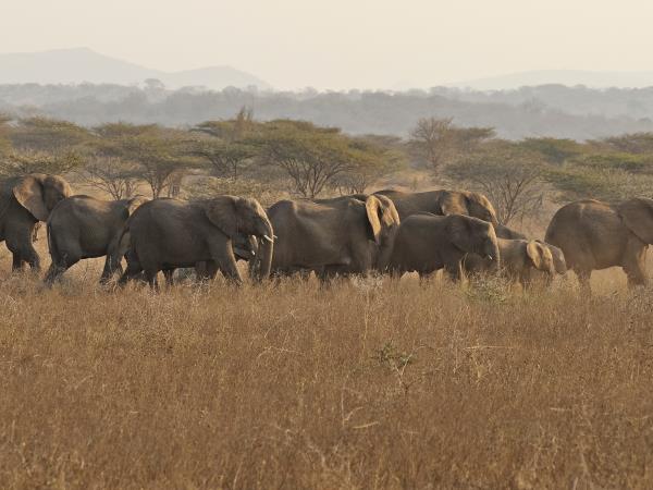 Photography safari in South Africa