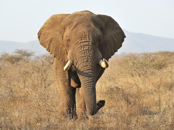 Photography safari in South Africa