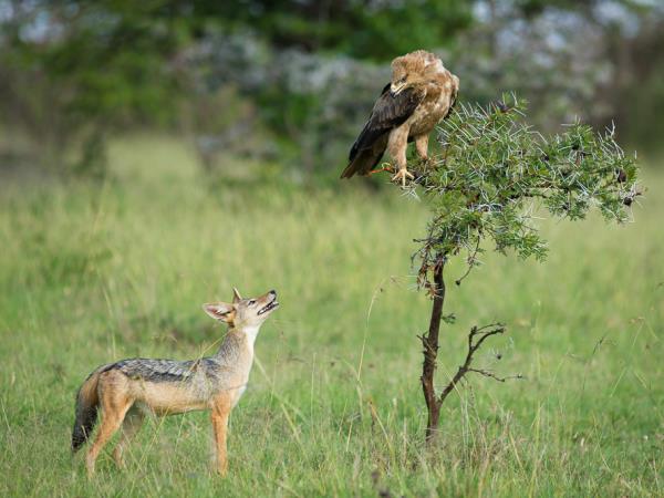 Photography safari in South Africa