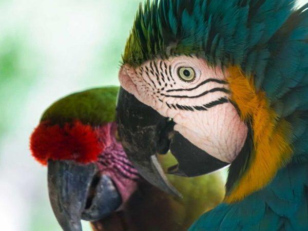 Medellin, Santa Marta, and Cartagena tour