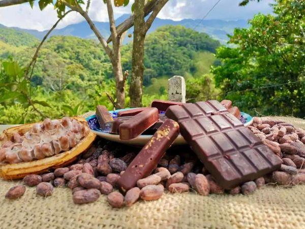 Medellin, Santa Marta, and Cartagena tour