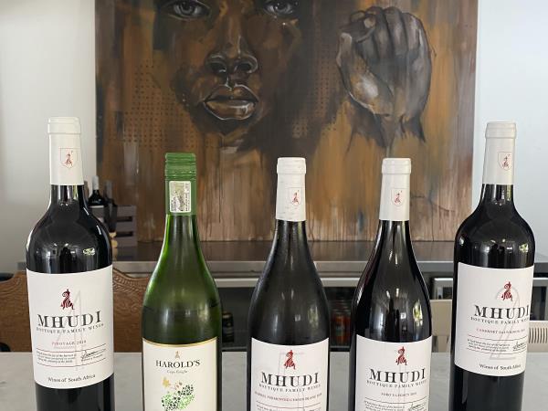 Wine and art holiday, South Africa