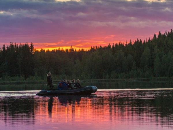 Wildlife holiday in the forests of central Sweden