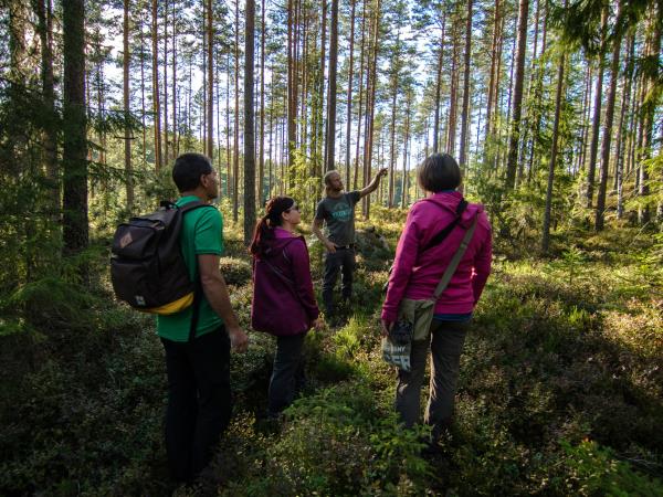 Wildlife holiday in the forests of central Sweden