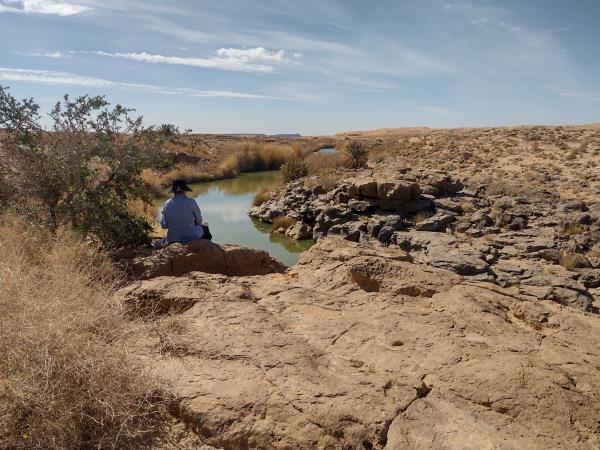 Painting holiday in Moroccan desert
