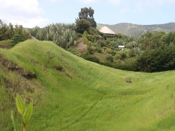 Mountain biking adventure, Ethiopia