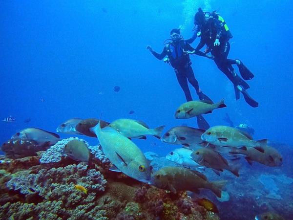 South Africa coastal adventure holiday