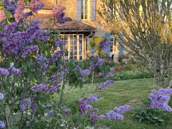 Painting holiday in France