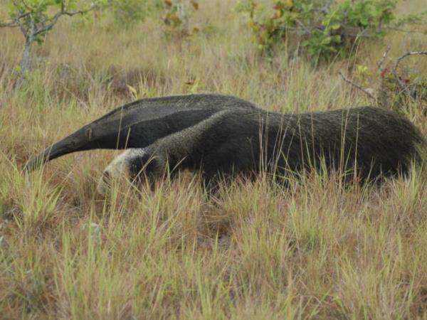 Hidden Guianas guided tour