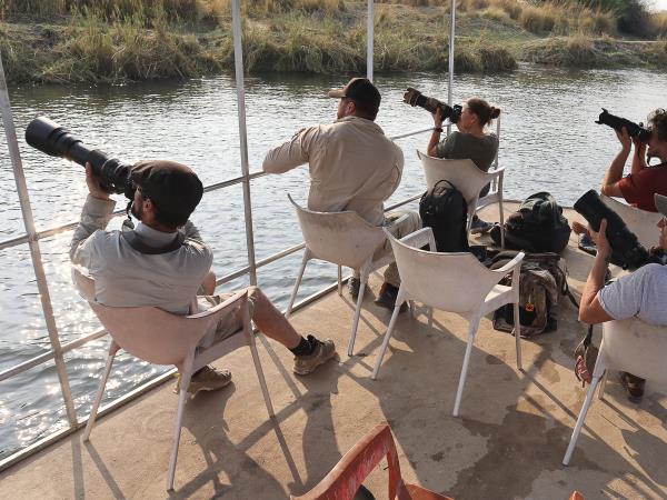Namibia & Botswana wildlife camping photo safari