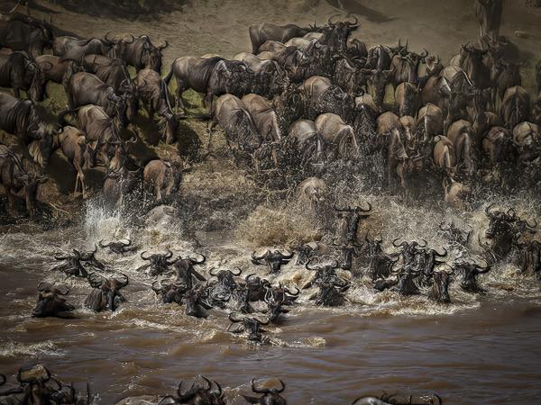 Tanzania Great Migration photo safari