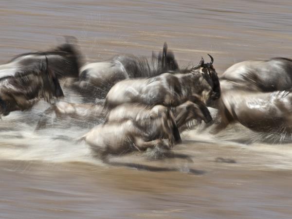Tanzania Great Migration photo safari