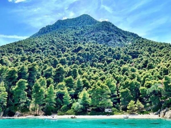Biodiversity monitoring, Kalamos, Greece