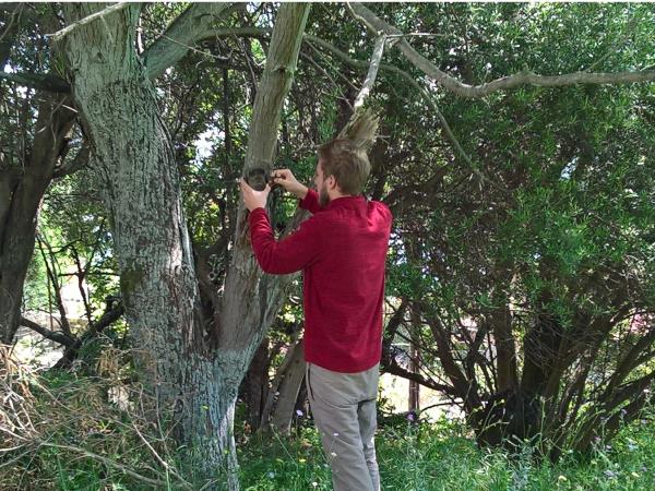 Biodiversity monitoring, Kalamos, Greece