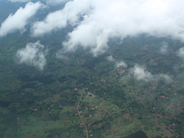 Short gorilla fly in safari, Uganda