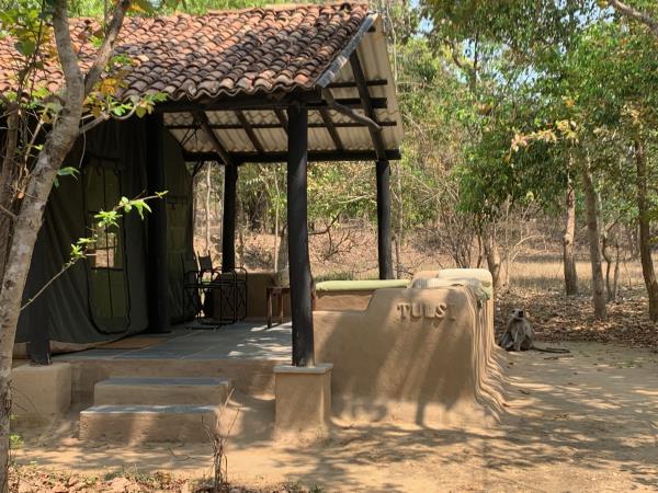 Kanha tiger safari & cycling tour, India