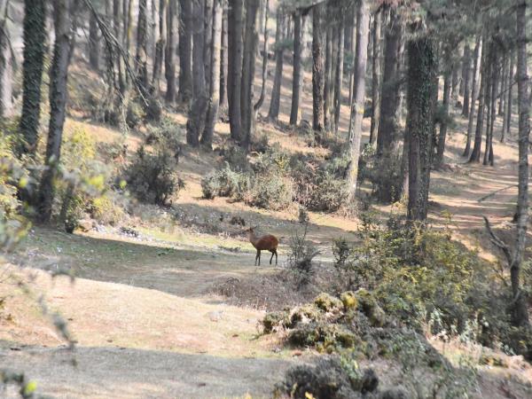 Trans Bhutan Trail walking holiday