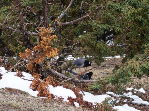 Trans Bhutan Trail walking holiday