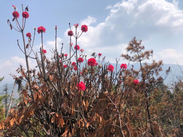 Trans Bhutan Trail walking holiday