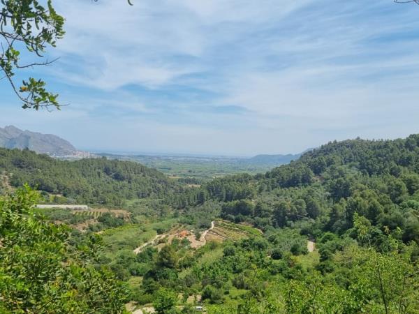 Vegan yoga retreat in Spain