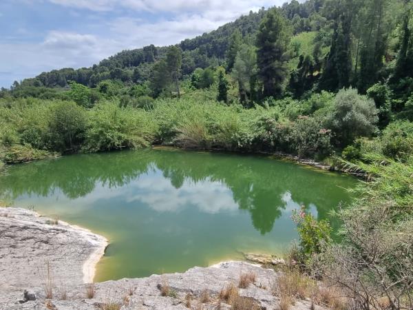 Vegan yoga retreat in Spain