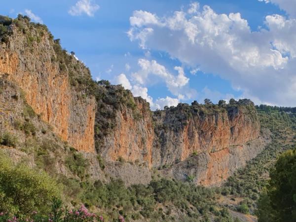 Vegan yoga retreat in Spain