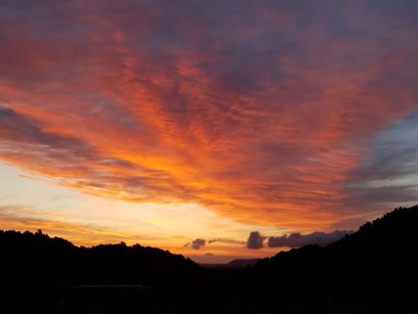 Vegan yoga retreat in Spain