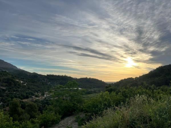 Vegan yoga retreat in Spain