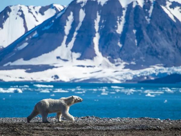 Svalbard to Iceland sailing holiday