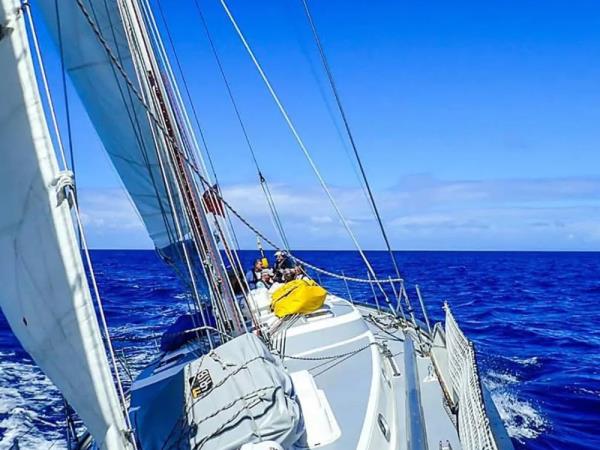 Amsterdam to London sailing holiday