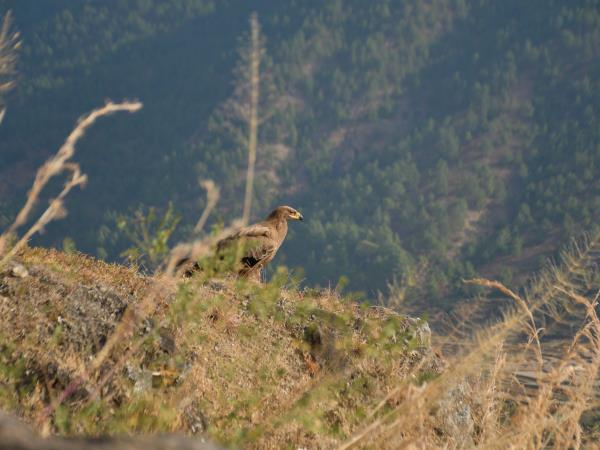 Trans Bhutan Trail walking holiday
