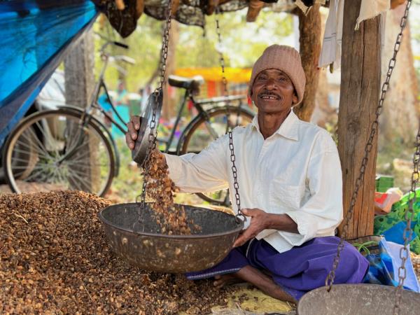 Central and Western India holiday, rural life
