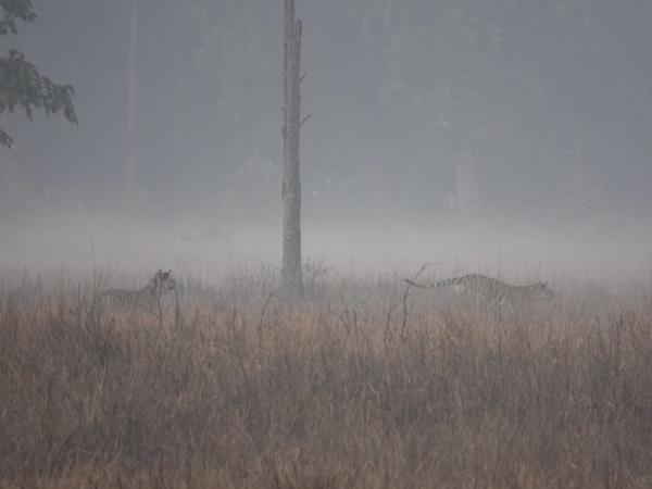 Central and Western India holiday, rural life