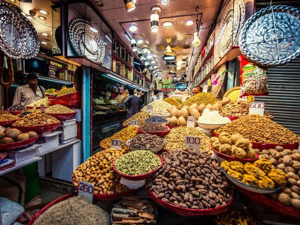 India culture and wildlife tour