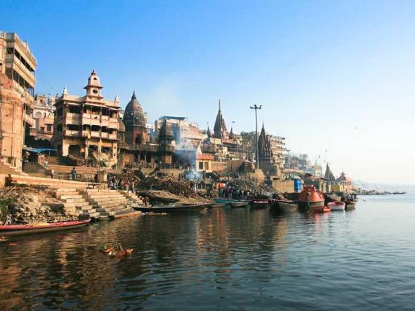 India culture and wildlife tour