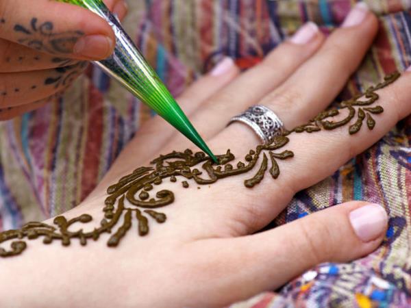 India culture and wildlife tour