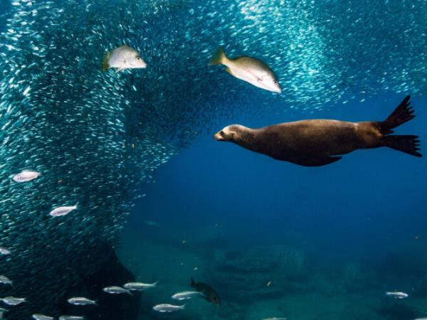 Baja multi activity holiday, Mexico