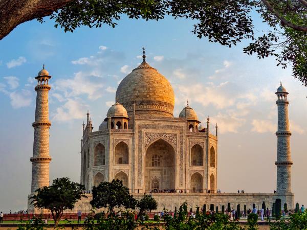 India culture and wildlife tour