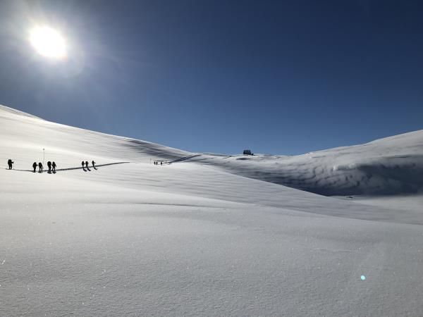 Kungsleden snowshoe expedition in Swedish Lapland