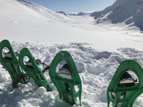 Kungsleden snowshoe expedition in Swedish Lapland