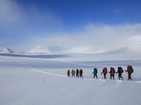 Kungsleden snowshoe expedition in Swedish Lapland
