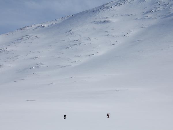 Kungsleden snowshoe expedition in Swedish Lapland