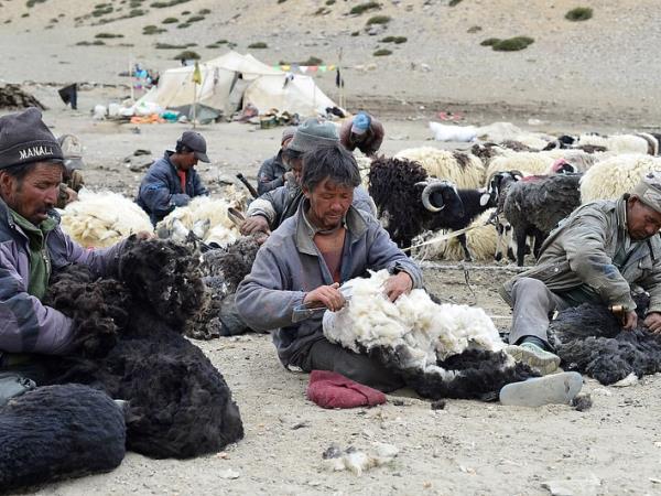 Himalaya cycling holiday, India