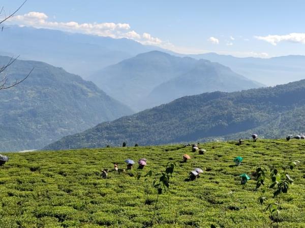 Sikkim cycling holiday, India