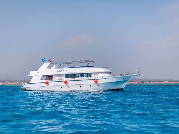 Egypt highlights and diving holiday