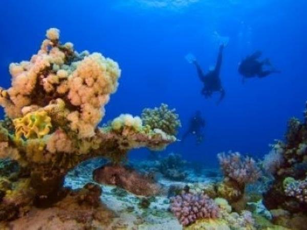 Egypt highlights and diving holiday