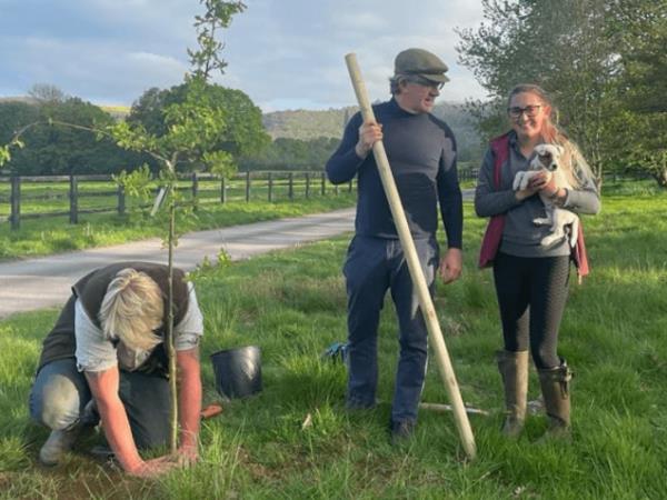 Horse riding and sustainability holiday in the South Downs