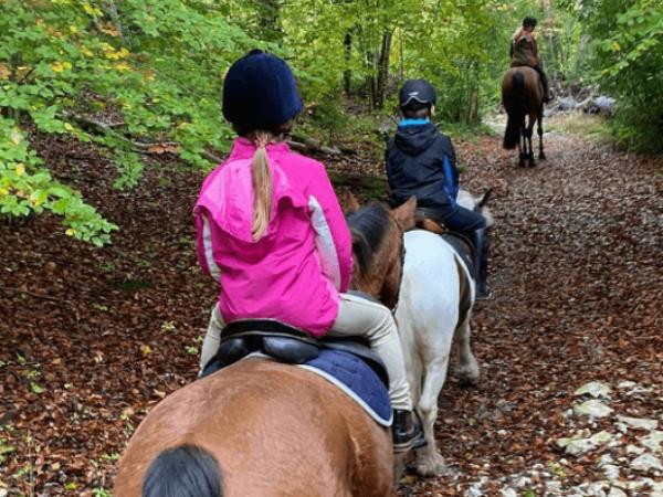 Horse riding and sustainability holiday in the South Downs